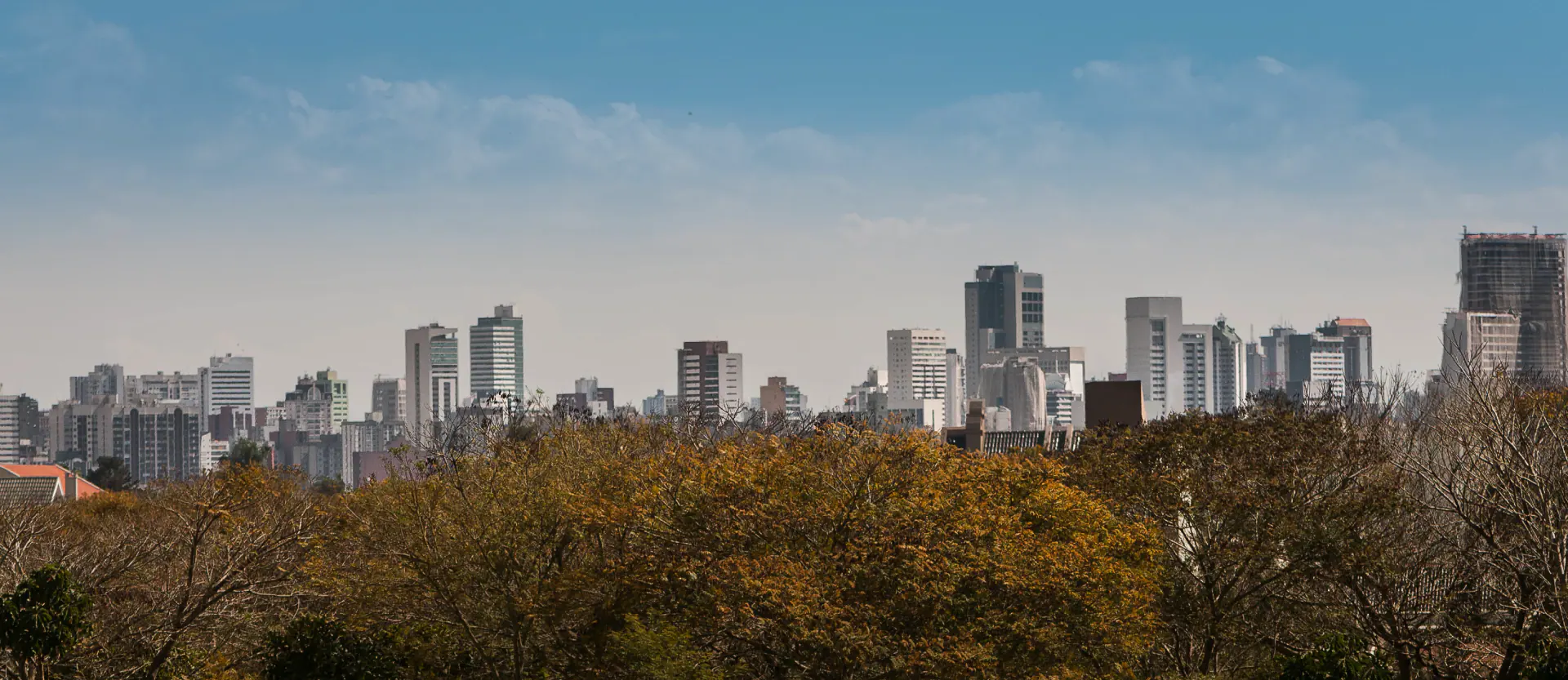Lago e paisagem urbana de Curitiba
